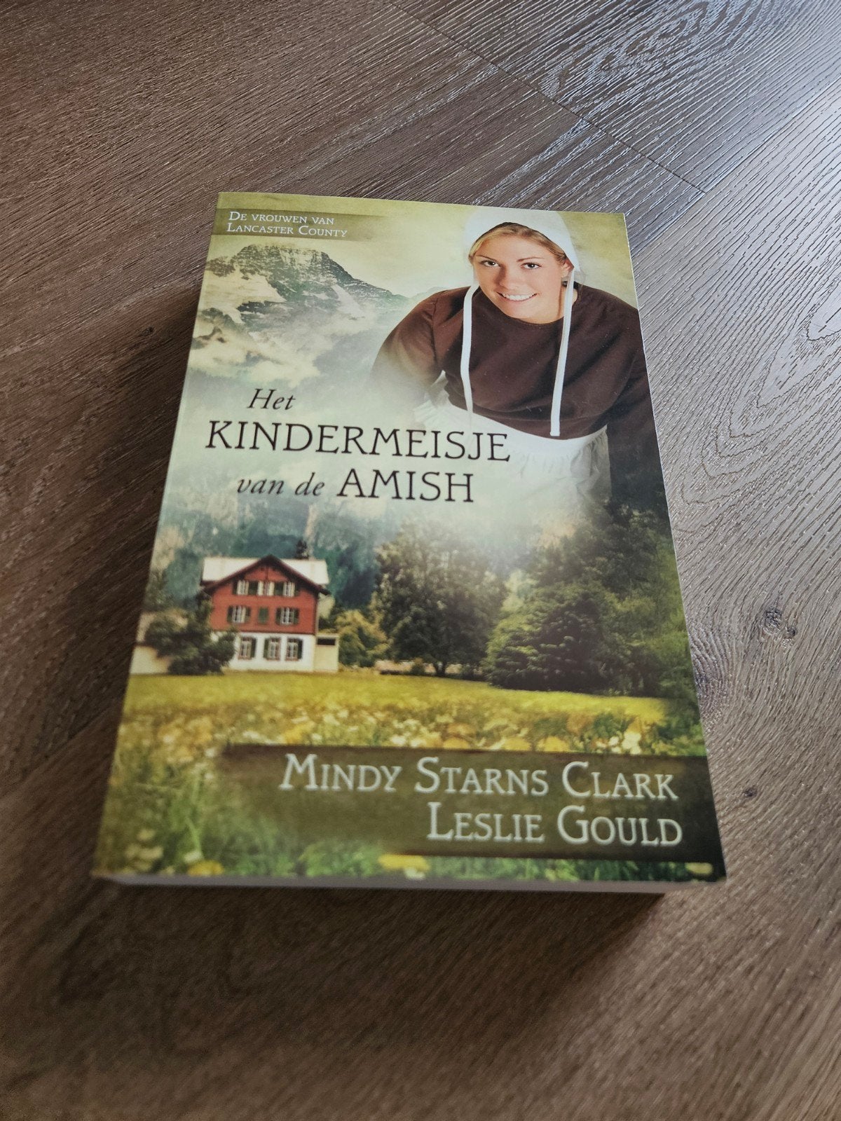 Het Kindermeisje van de Amish - Mindy Starns Clark, Ophalen of Verzenden, Zo goed als nieuw, Mindy Starns Clark, Leslie Gould