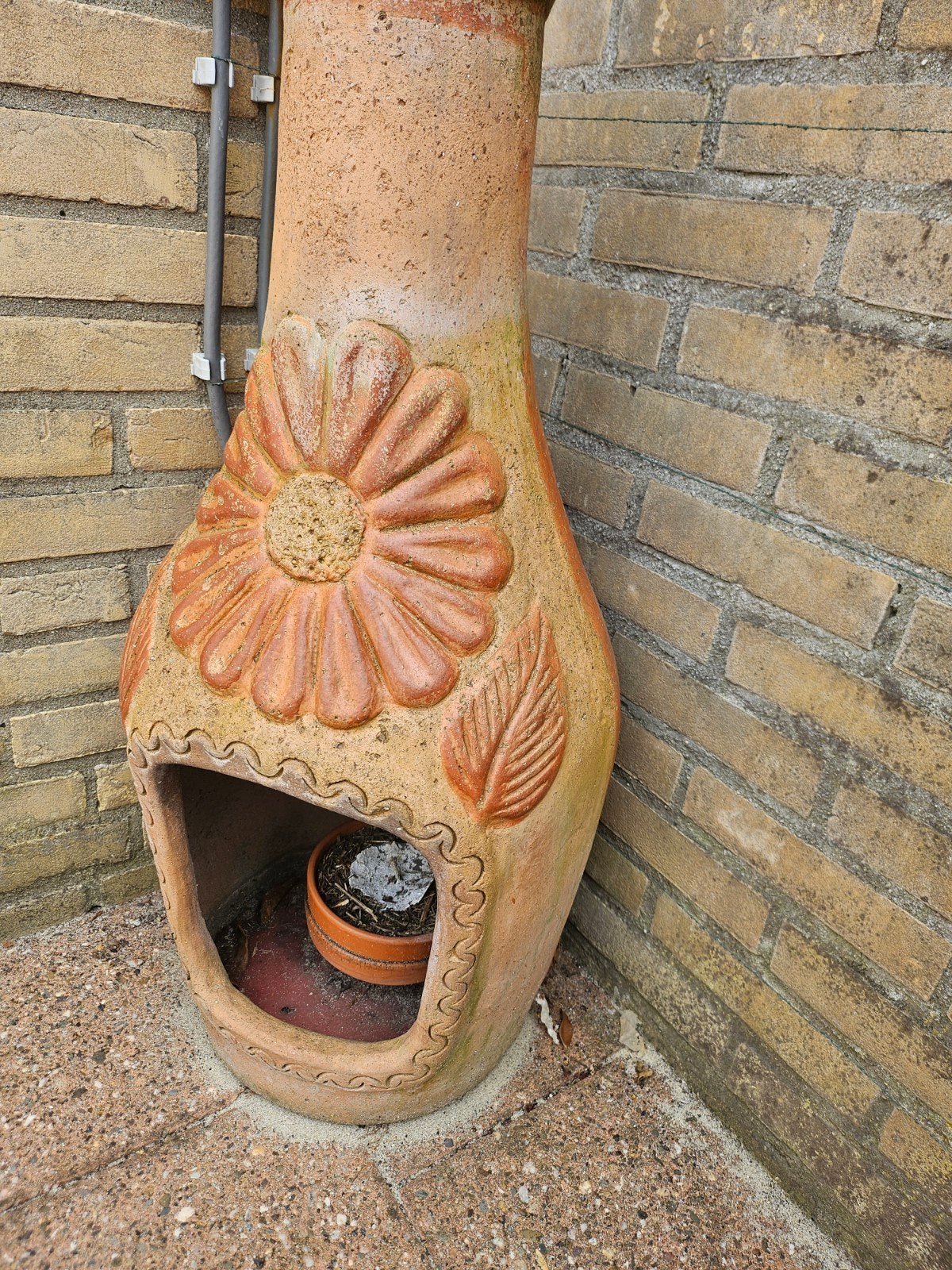 Mexicaanse tuinhaard, Ophalen