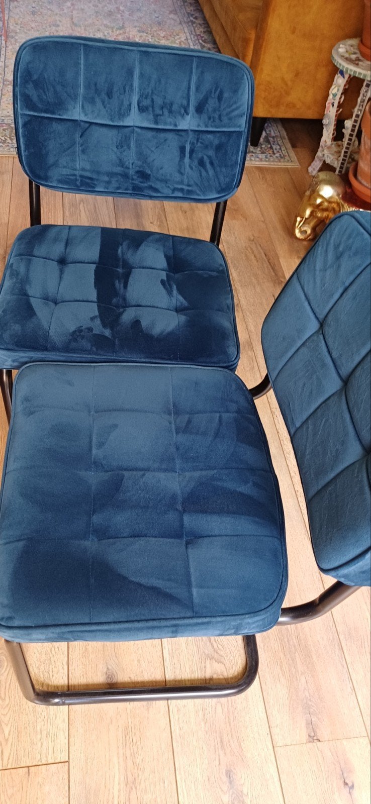2 x stoel Ivy blauw Kick Collection, Ophalen, Blauw