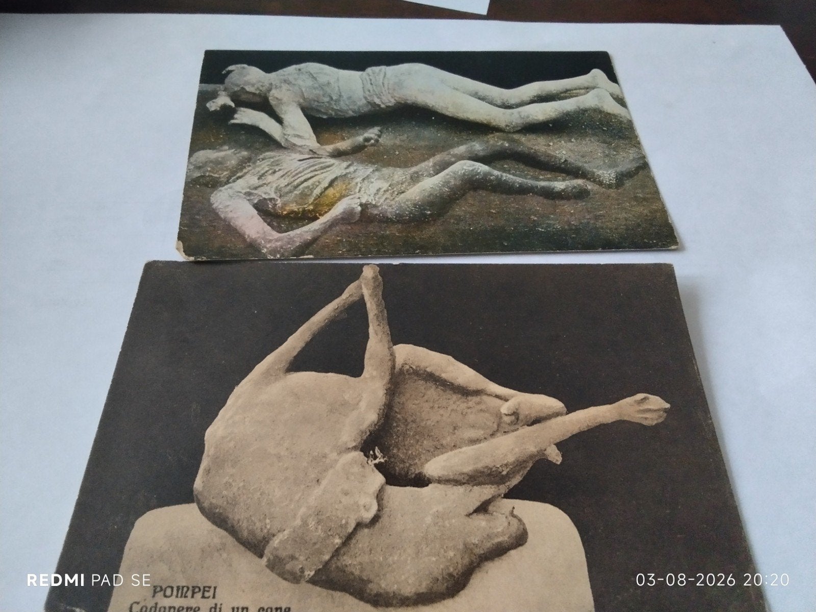 Oude ansichtkaarten Pompeii - Menselijke en dierenlichamen, Ophalen of Verzenden