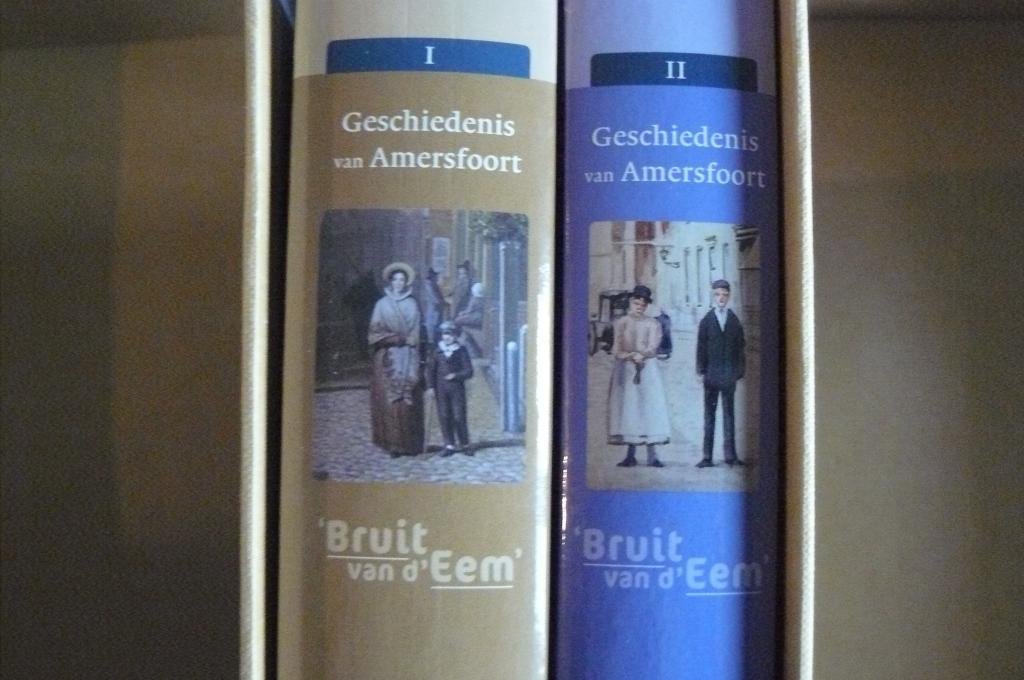 AMERSFOORT / Geschiedenis / Bruit van d'Eem / deel I en II, Boeken, Ophalen of Verzenden, Zo goed als nieuw