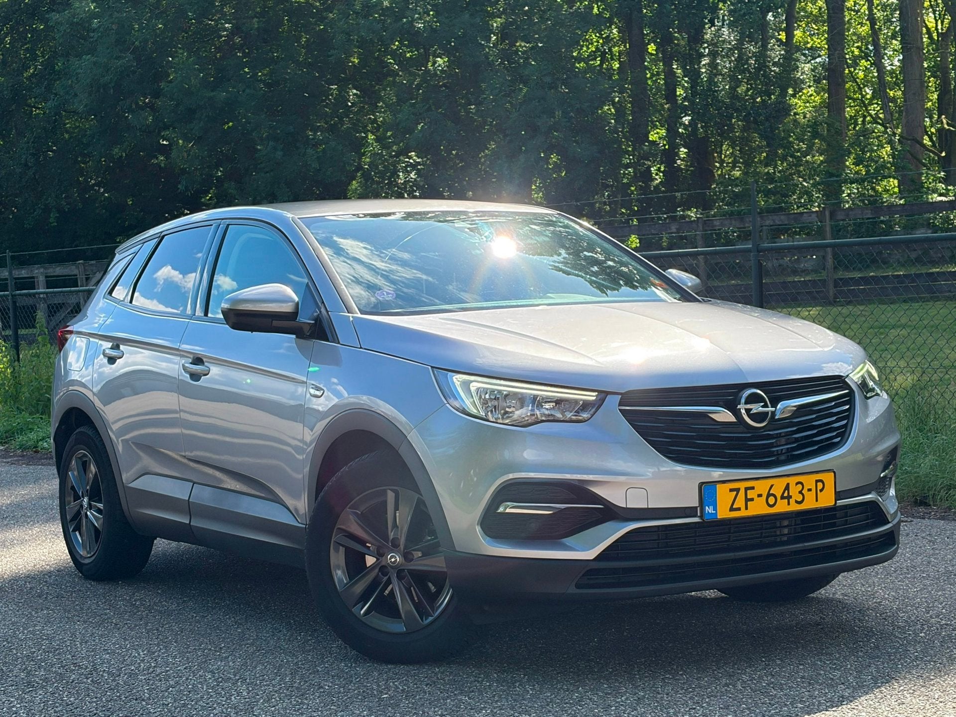 Opel Grandland X 1.2 Turbo 120 Jaar Edition /Carplay/Navi/St, Auto's, Voorwielaandrijving, Euro 6, 1199 cc, Origineel Nederlands