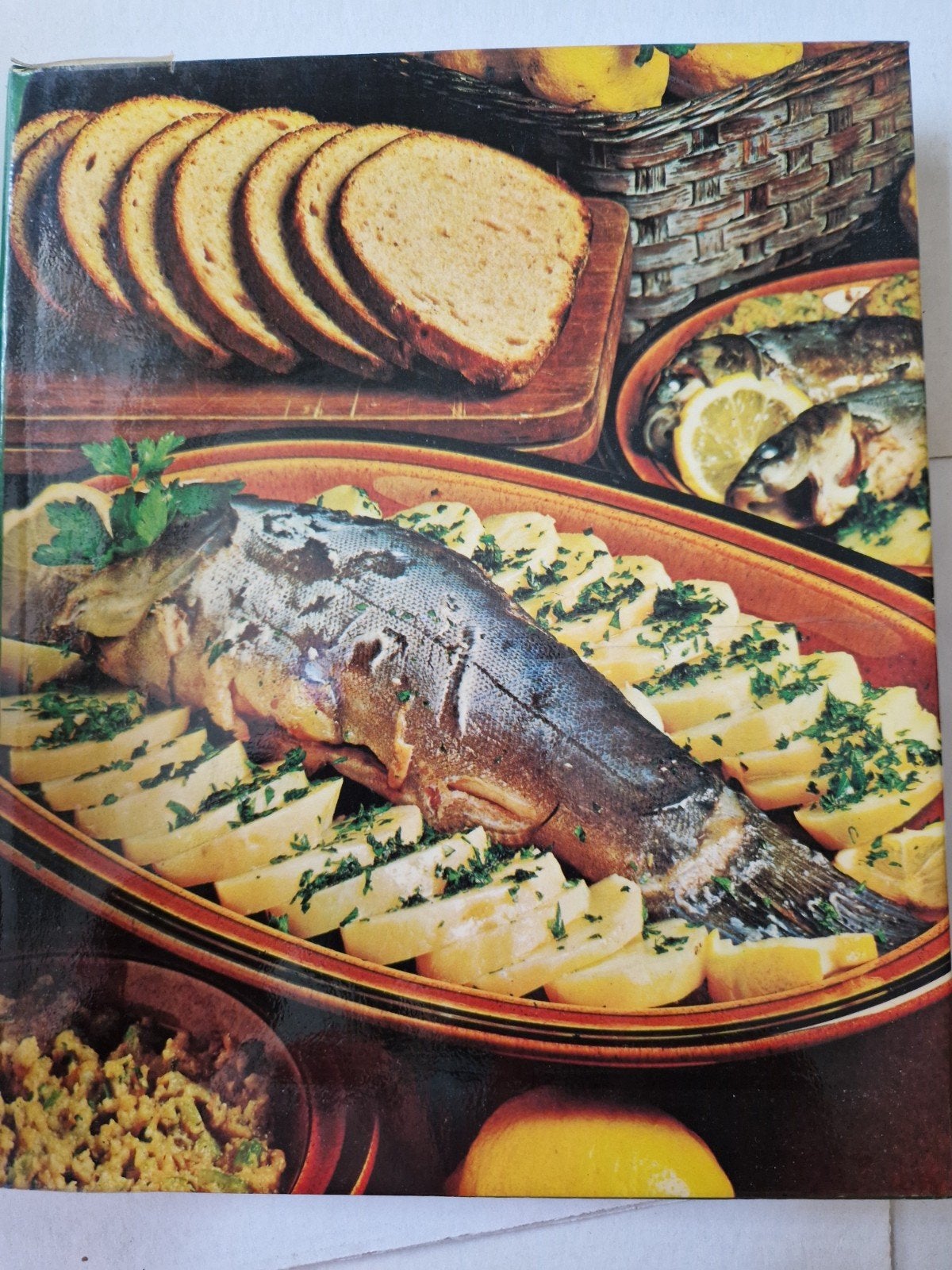 Vis kookboek, Ophalen of Verzenden, Gelezen