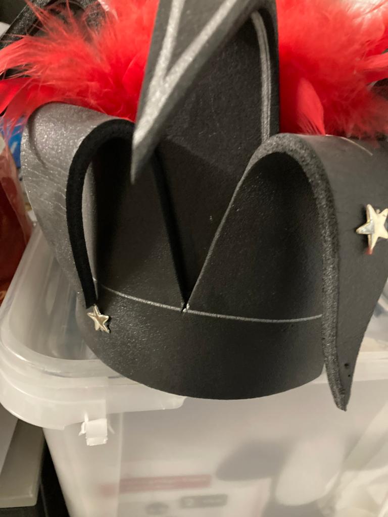 Carnavalhoedjes, Kleding | Dames, Ophalen of Verzenden, Gedragen, Carnaval, Accessoires