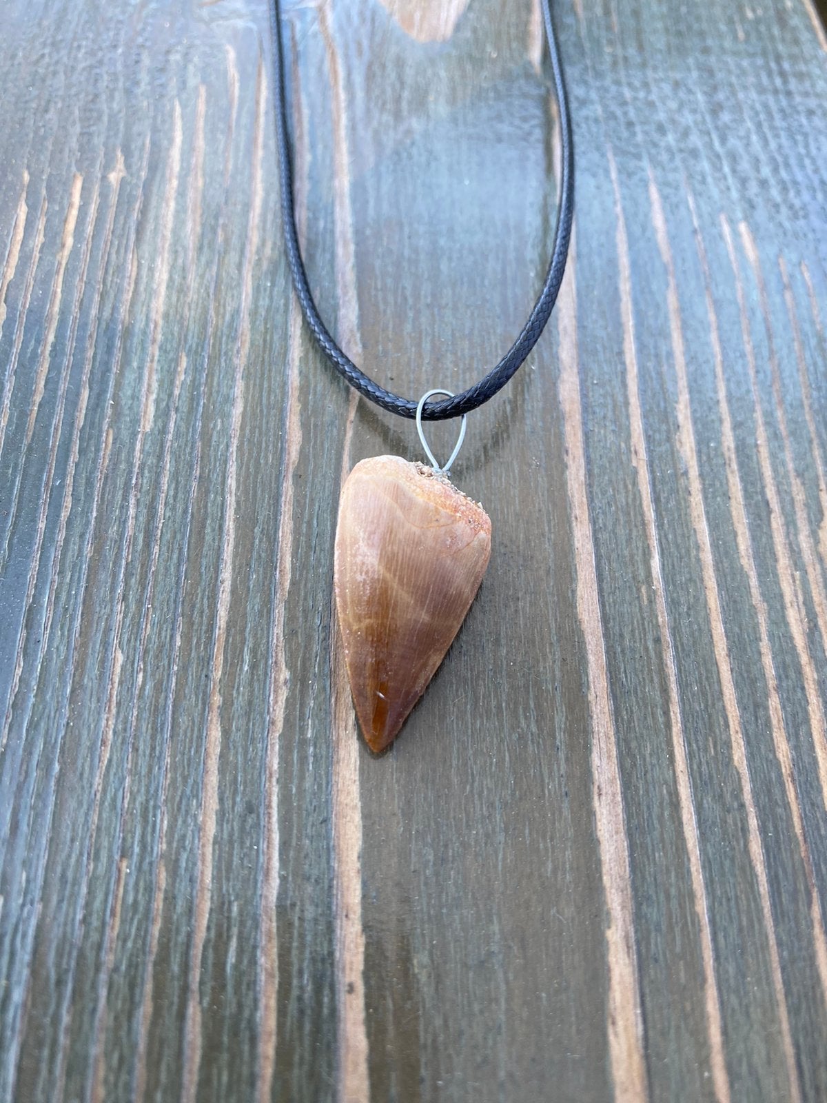 Ketting met een echte fossiele  mosasaurus haaientand, Sieraden, Tassen en Uiterlijk, Edelstenen, Verzenden, Zo goed als nieuw