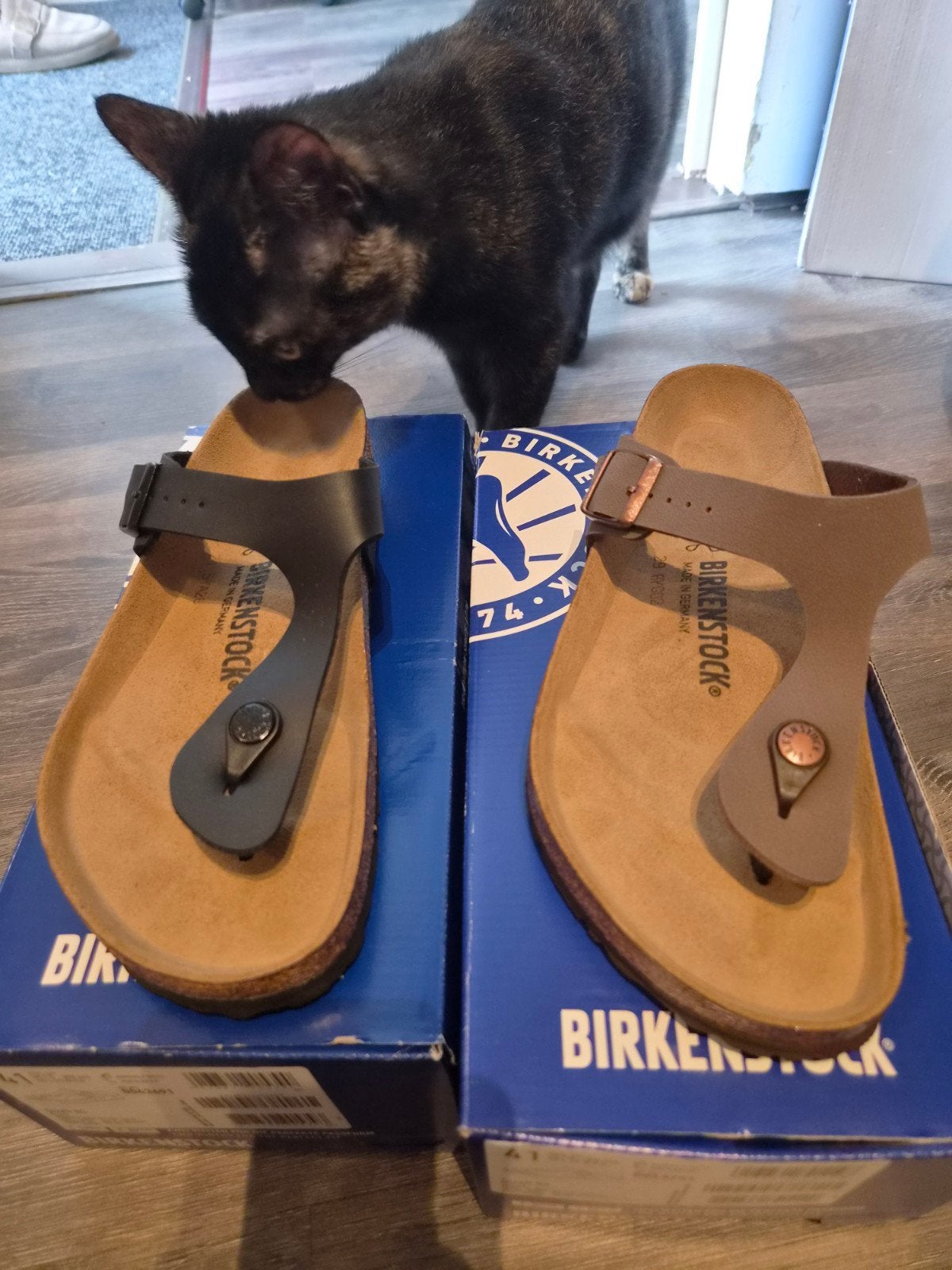 Zwart en Bruin NIEUW Birkenstock Gizeh Heren - Maat 41, Kleding | Heren, Slippers, Zwart, Nieuw, Ophalen of Verzenden