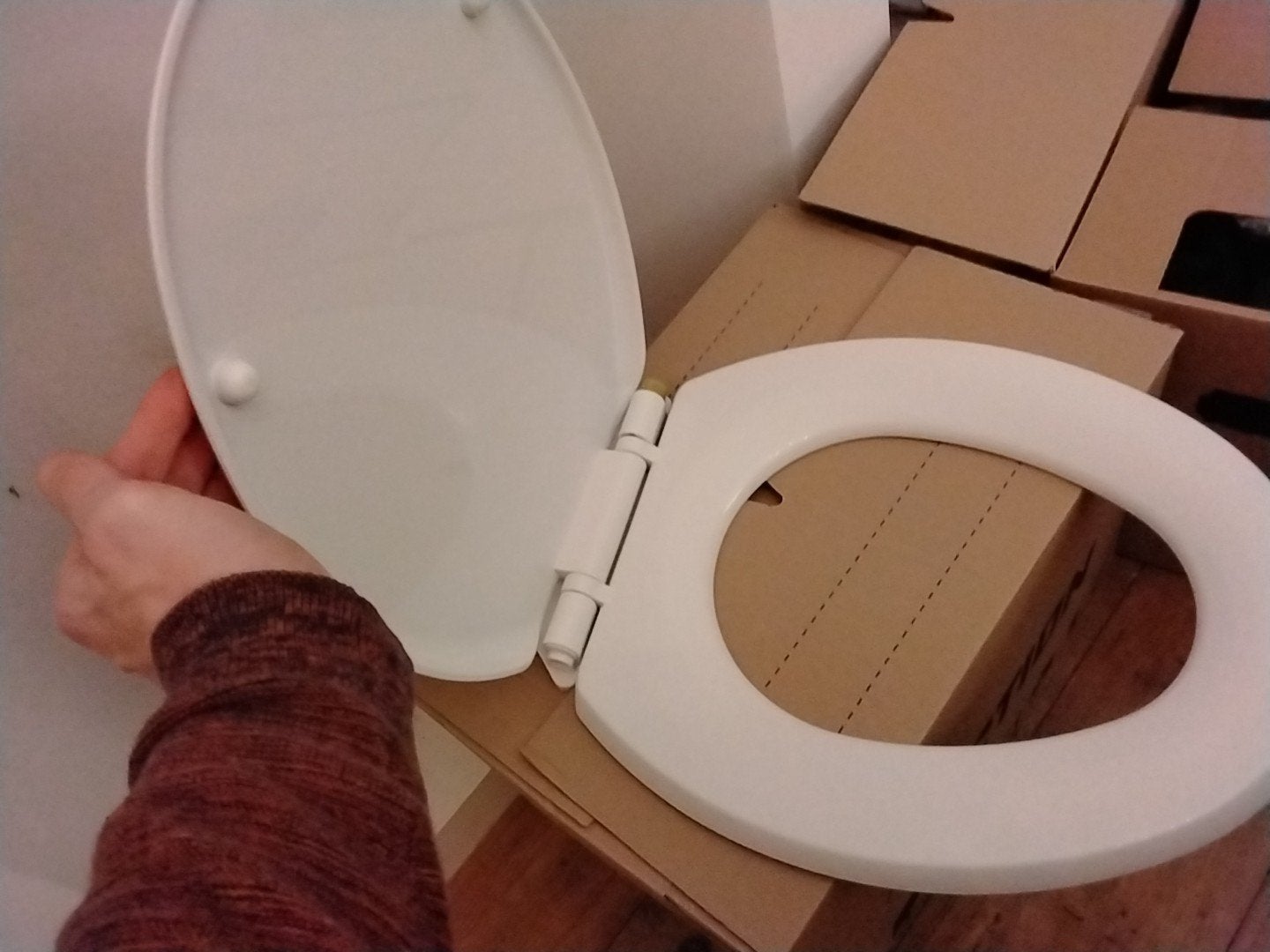 Gratis WC bril - mist dopje rechts, Ophalen, Gebruikt, Toilet