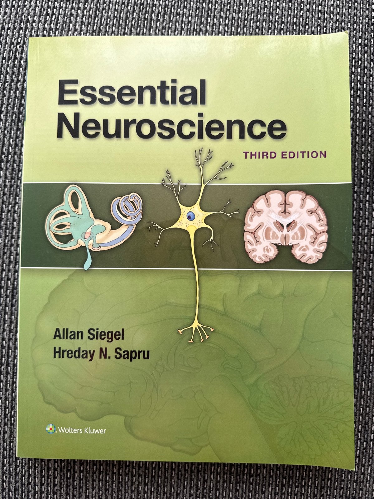 Essential Neuroscience 3e - Gloednieuw en ongebruikt, Ophalen of Verzenden, Beta, Nieuw, WO