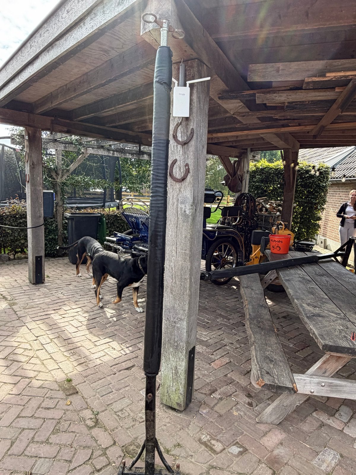 Tweespan langboom / dissel, Dieren en Toebehoren, Ophalen, Gebruikt, Overige disciplines, Zwart