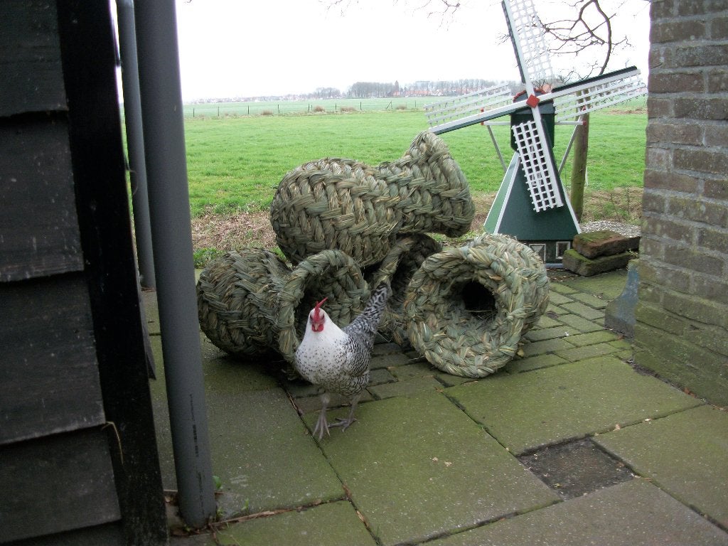 Eendenkorven Eendenkorf, Ophalen of Verzenden, Nieuw, Overige materialen, Overige typen