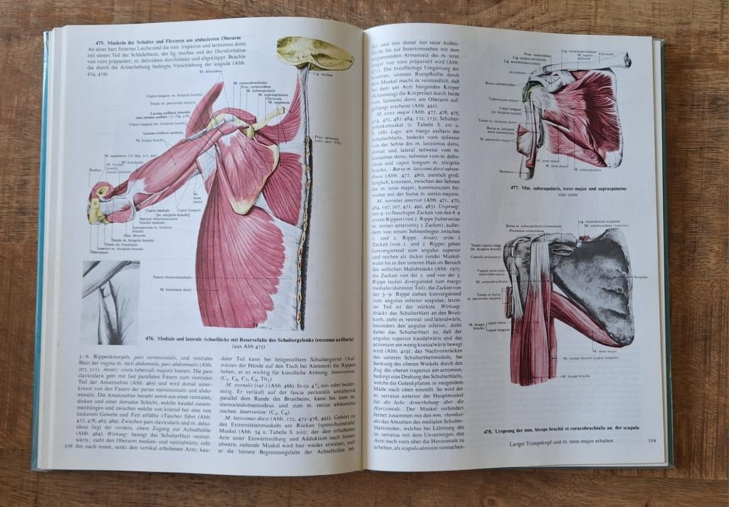 Handatlas der anatomie des menschen, Ophalen, Zo goed als nieuw