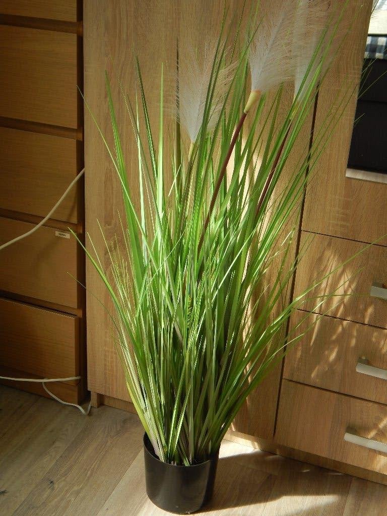 Ikea kunstplant / siergras, Ophalen, Met pot of vaas, Kunstplant, Kunststof