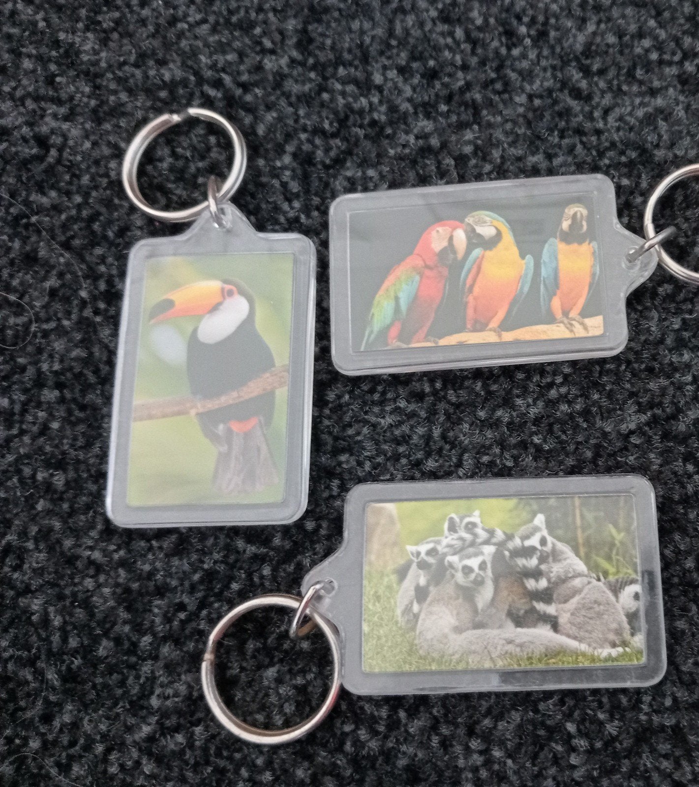 Avifauna 3 sleutelhangers vogels + ringstaartmaki -  Nieuw!, Verzamelen, Sleutelhangers, Ophalen of Verzenden, Nieuw, Dier of Natuur