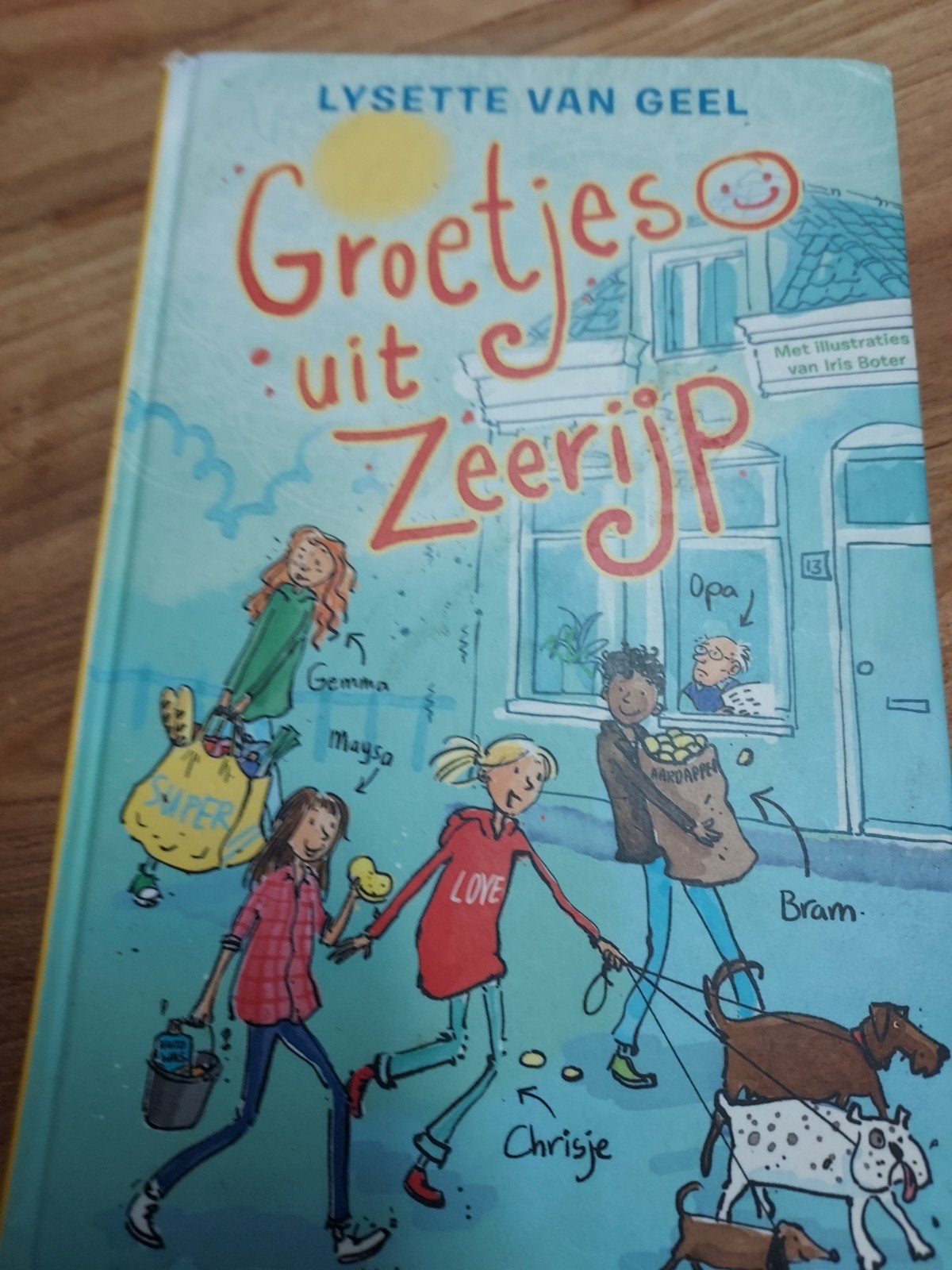 Lysette van Geel - Groetjes uit Zeerijp, Boeken, Ophalen of Verzenden, Zo goed als nieuw, Lysette van Geel