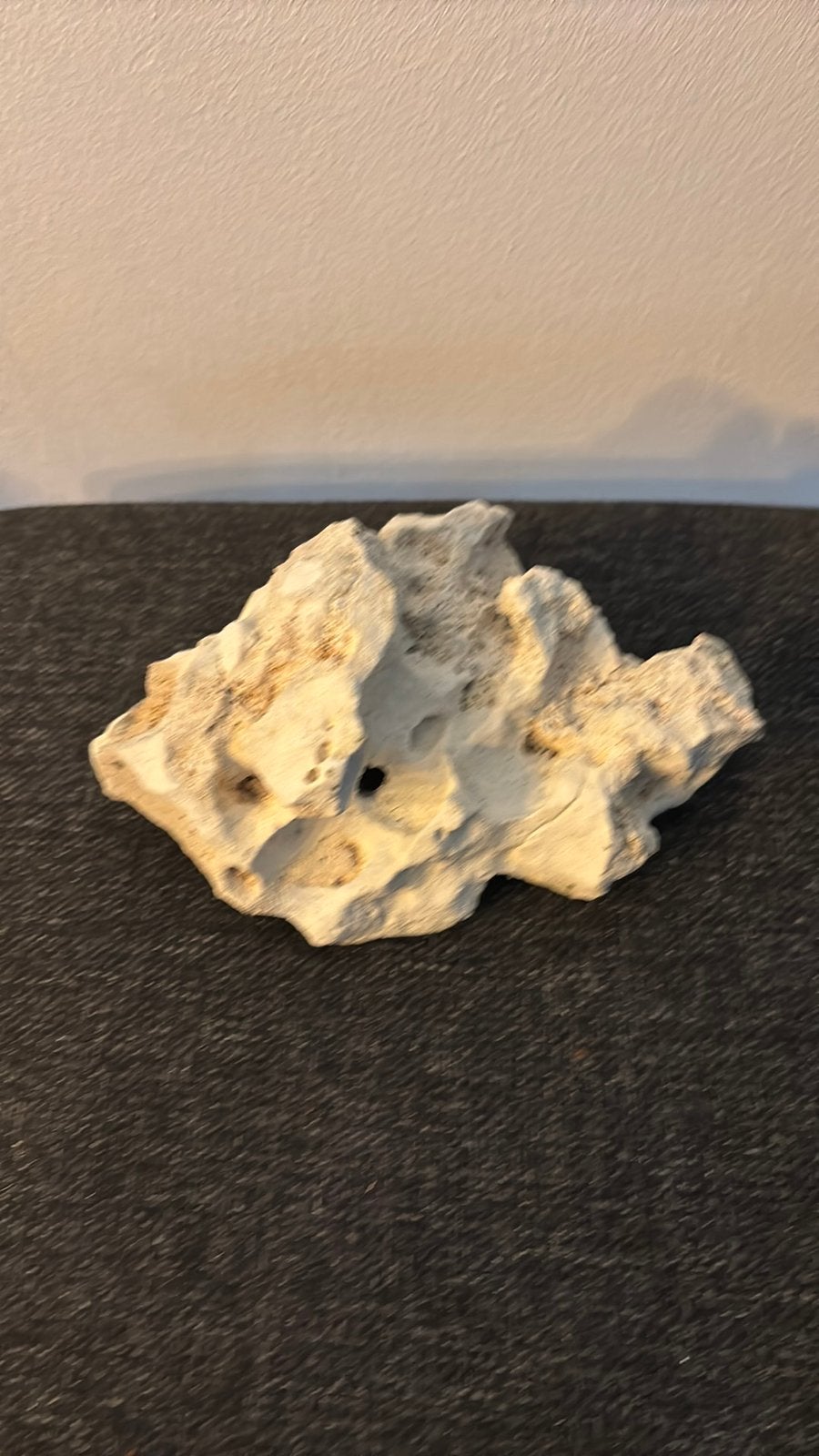 Mooie accessoires voor in een aquarium, Ophalen of Verzenden, Zo goed als nieuw