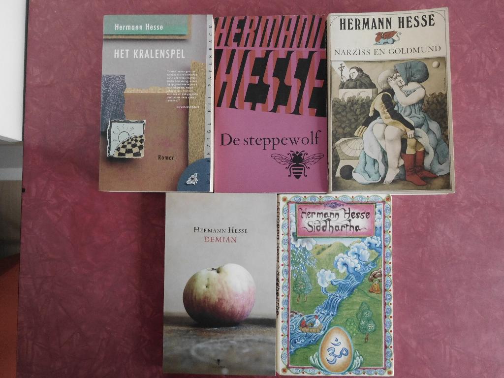 Hesse Het kralenspel  De steppewolf Narziss en Goldmund Demi, Ophalen of Verzenden, Gelezen
