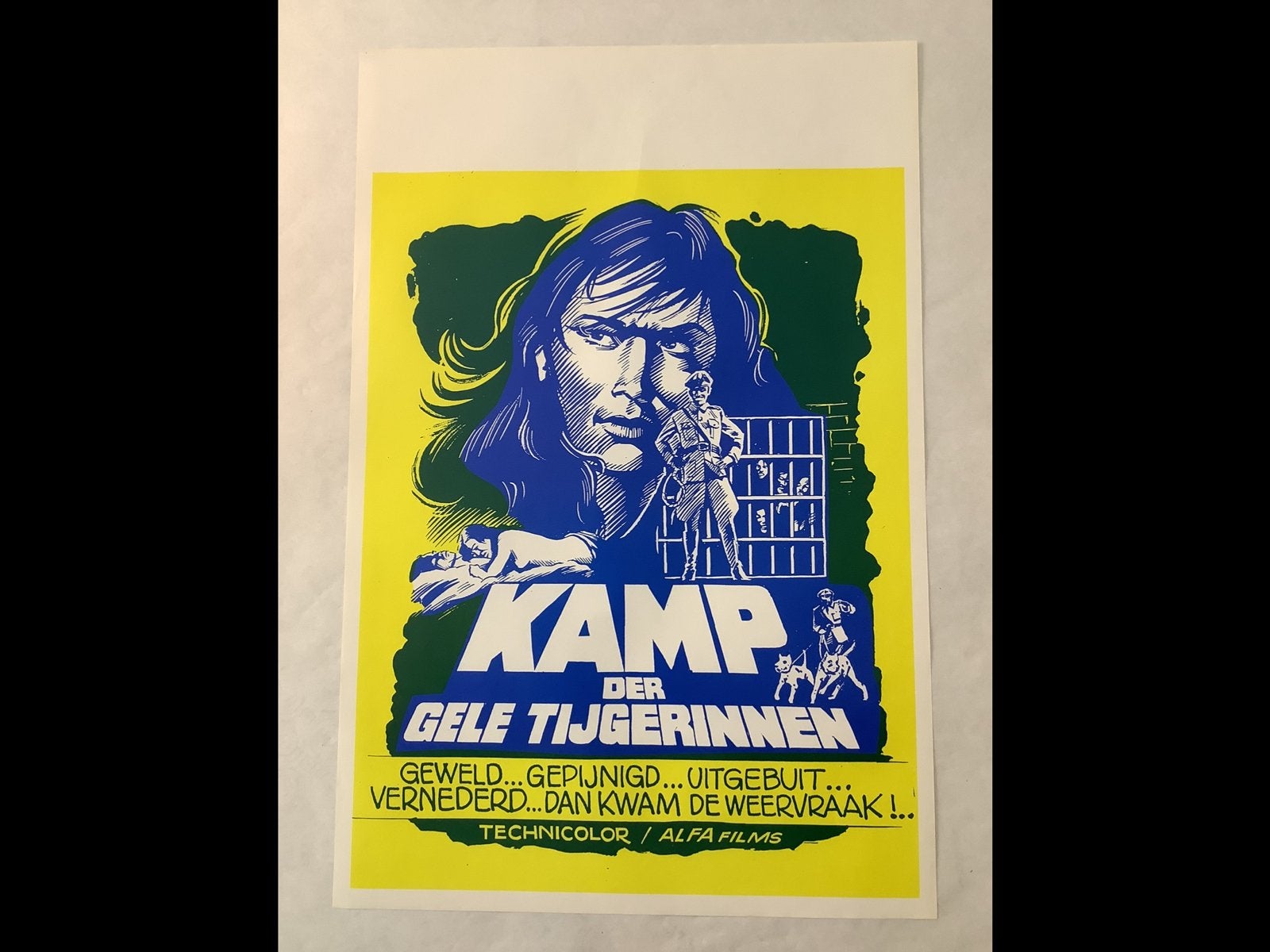 LOT FILMPOSTERS   (22)   36-54 cm, Ophalen of Verzenden