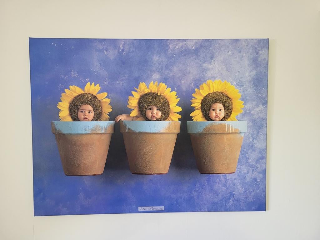 Gratis aftehalen Anne Geddes poster, Huis en Inrichting, Ophalen, Minder dan 50 cm, Zo goed als nieuw, Foto of Poster