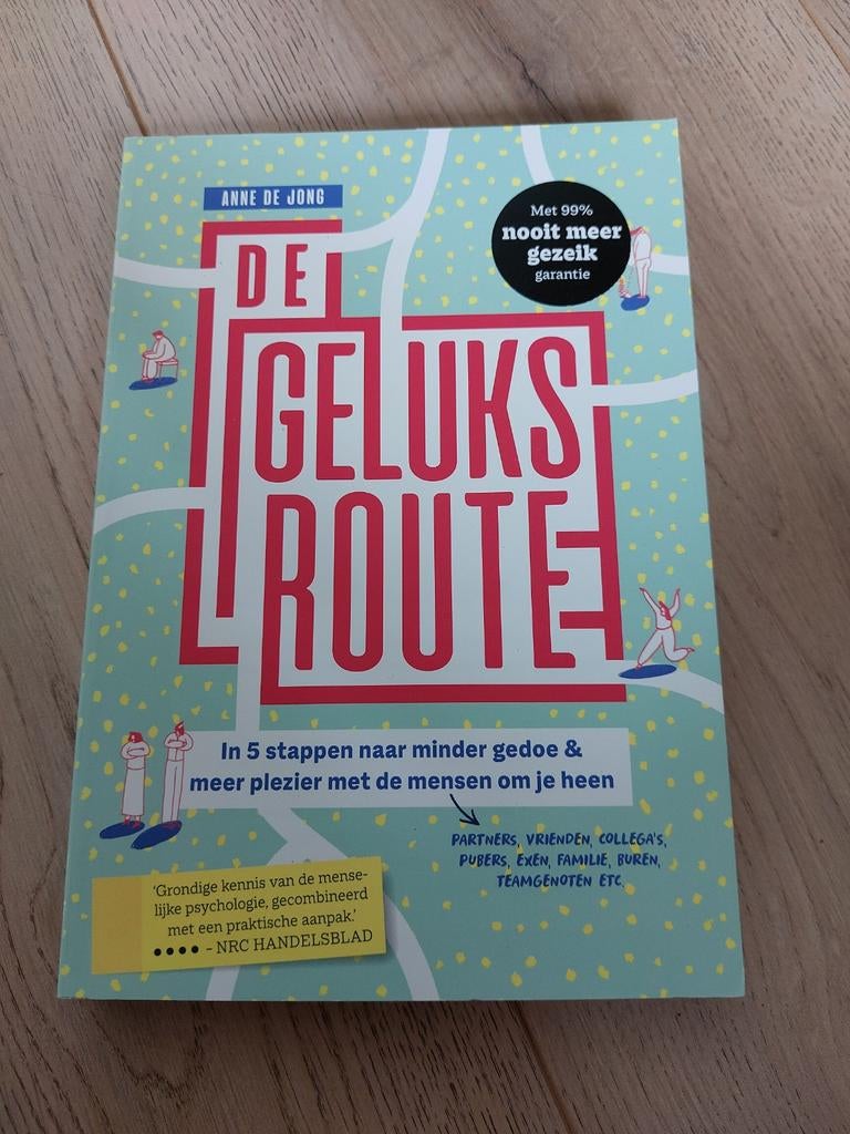 Anne de Jong - De geluksroute, Anne de Jong, Ophalen of Verzenden, Ontwikkelingspsychologie, Zo goed als nieuw