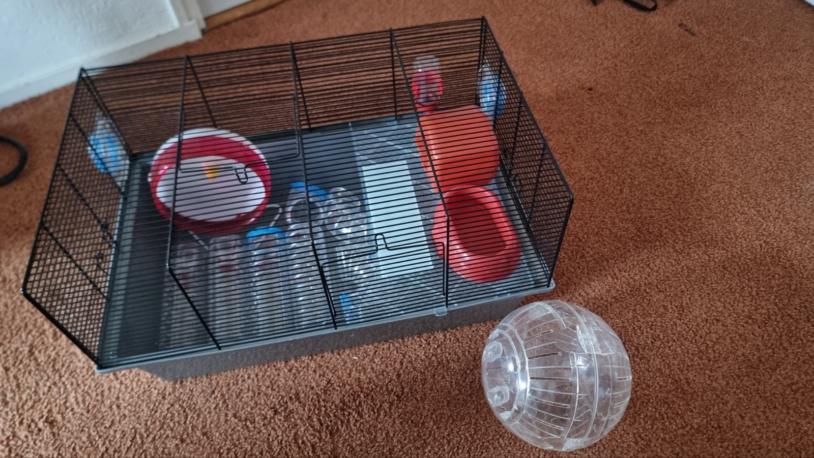 Hamsterkooitje met toebehoren, Kooi, Minder dan 75 cm, Zo goed als nieuw, Ophalen