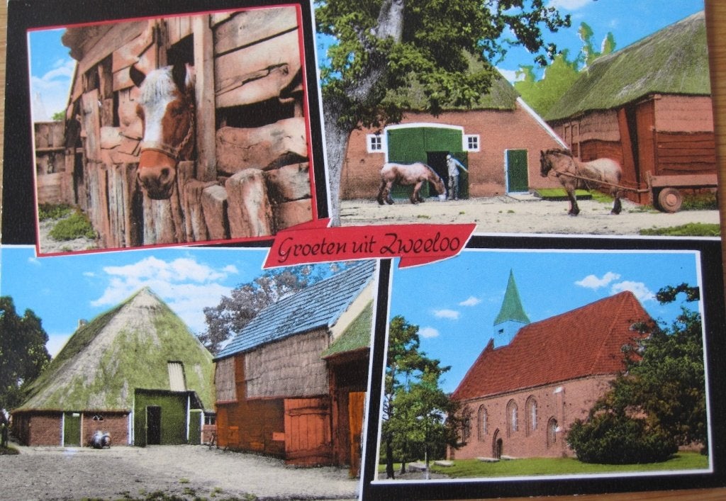 Groeten uit Zweeloo - Drenthe - nieuw, Verzamelen, Ansichtkaarten | Nederland, Verzenden, 1980 tot heden, Ongelopen, Drenthe