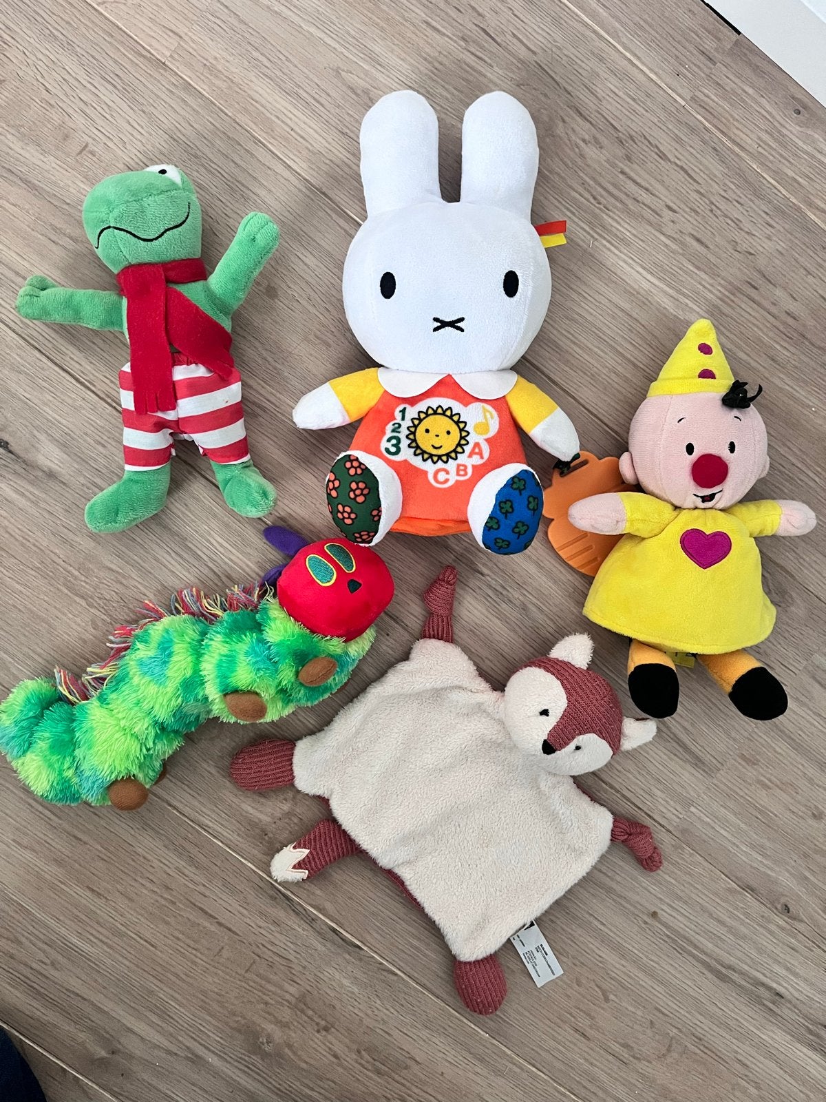 Leuke knuffels: Kikker, Nijntje, Rupsje Nooitgenoeg en meer!, Kikker, Nijntje, Ophalen of Verzenden, Middelgroot (20 tot 80 cm)