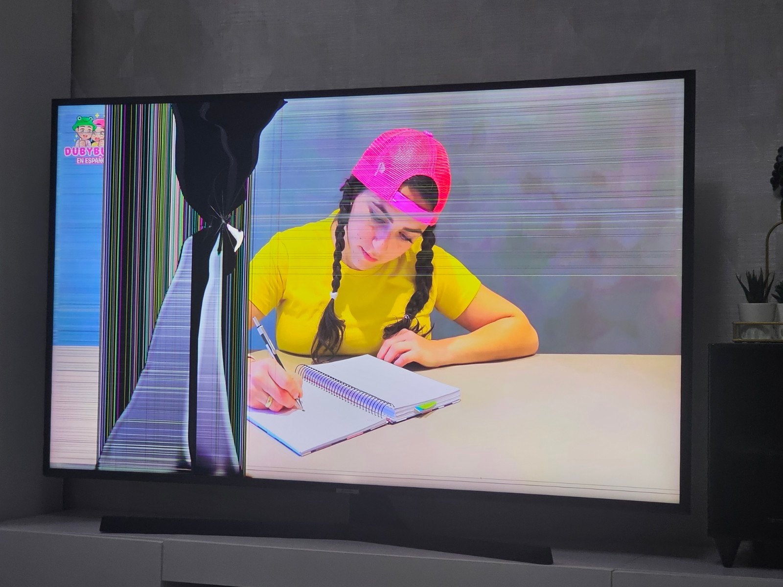 Samsung 55 inch TV - Defect scherm