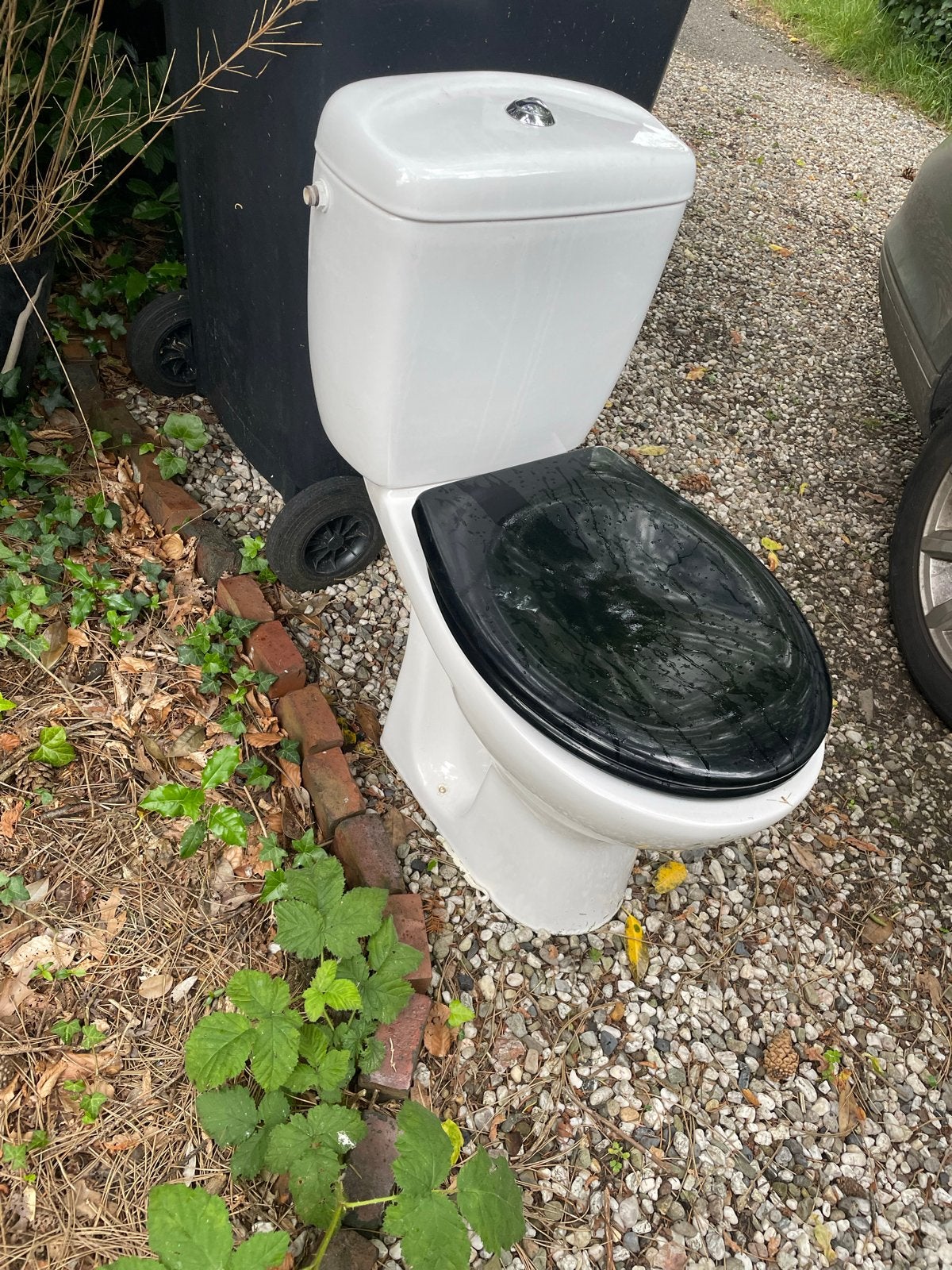 Gebruikt toilet met stortbak en zwarte zitting, Doe-het-zelf en Verbouw, Ophalen, Gebruikt, Toilet