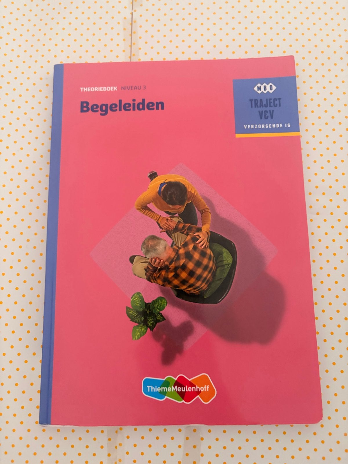 Begeleiden - Theorieboek Niveau 3 MBO Traject V&V, Ophalen of Verzenden, Zo goed als nieuw, MBO