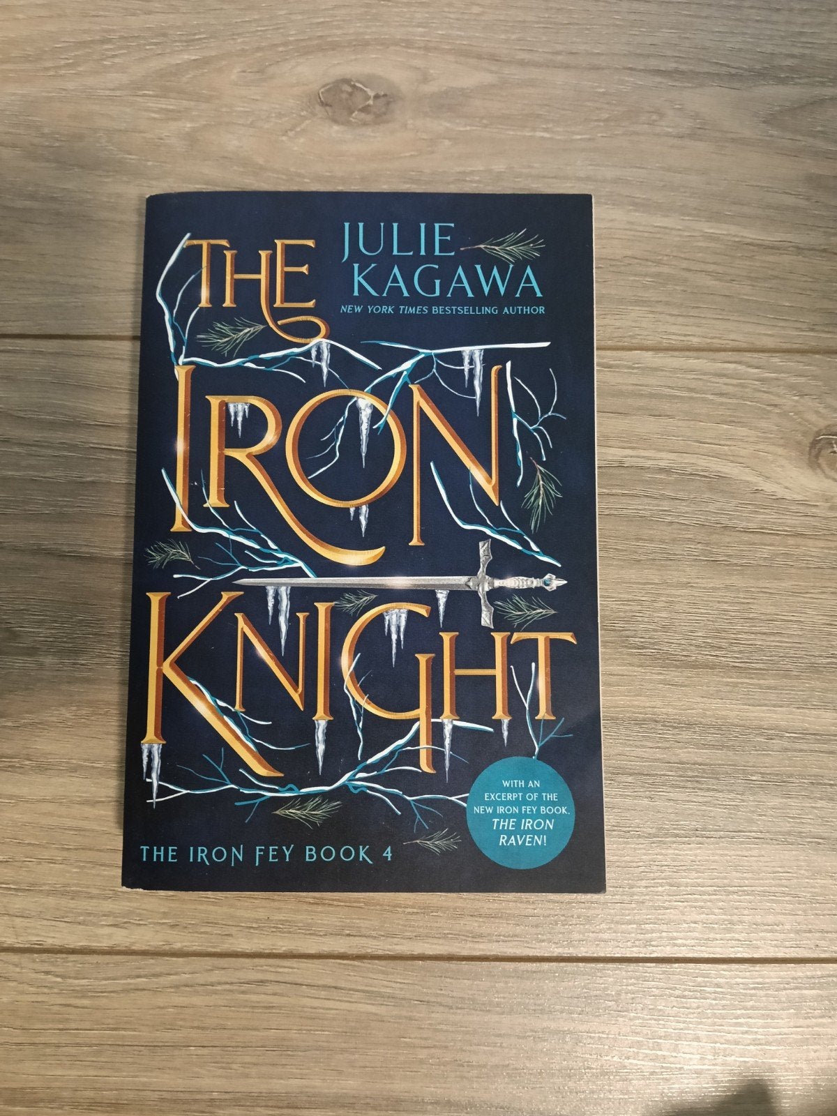 The Iron Knight Julie Kagawa, Boeken, Ophalen of Verzenden, Zo goed als nieuw, Julie Kagawa