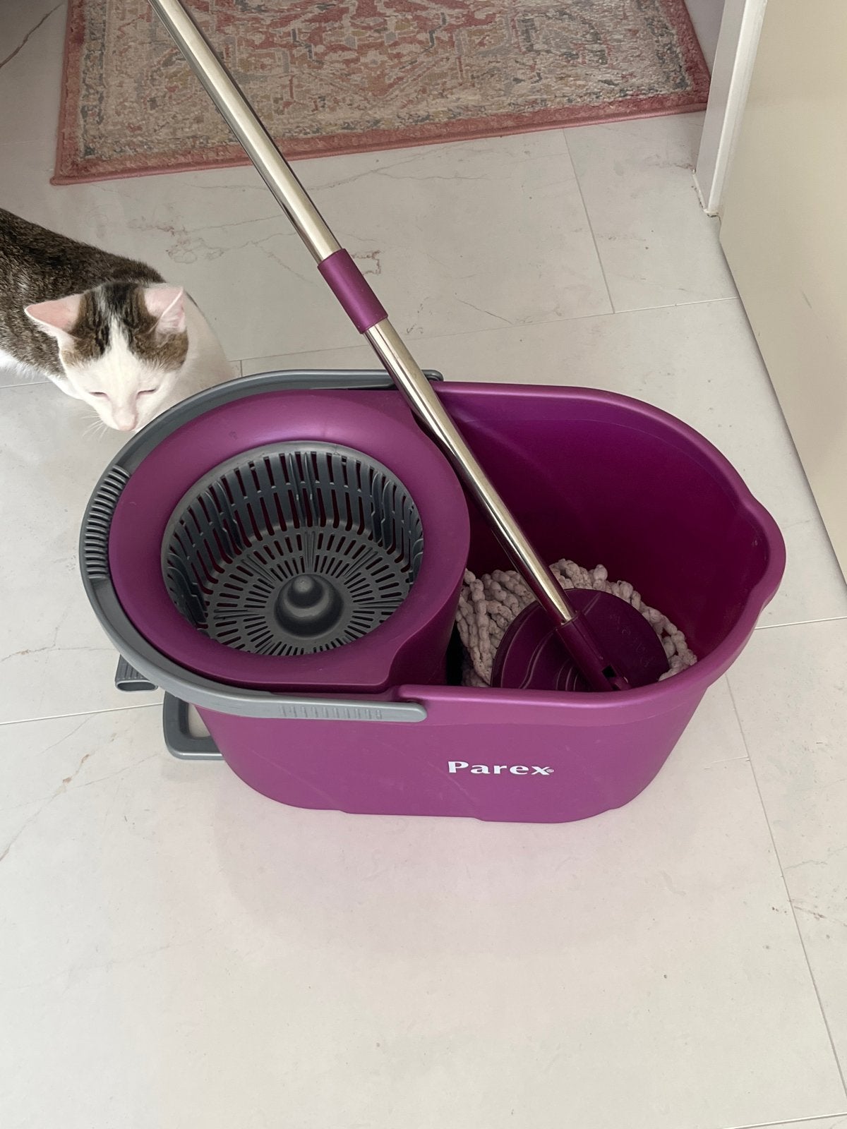 Paarse dweilemmer met mop en wringer, Ophalen, Dweilemmer, -bak, of -wagen