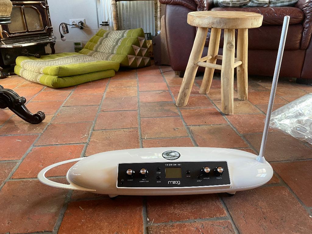 Theremini van Moog, Muziek en Instrumenten, Synthesizers, Zo goed als nieuw, Overige aantallen, Overige merken, Ophalen of Verzenden