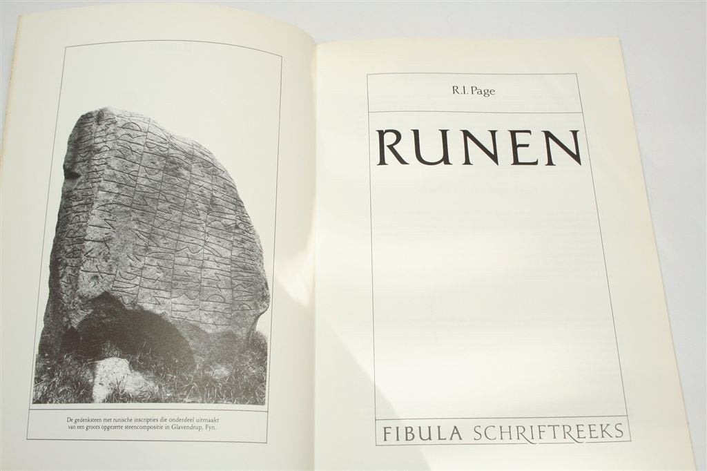Runen — Oorsprong & Geschiedenis, Geïllustreerd, Ophalen of Verzenden, Gelezen, Europa