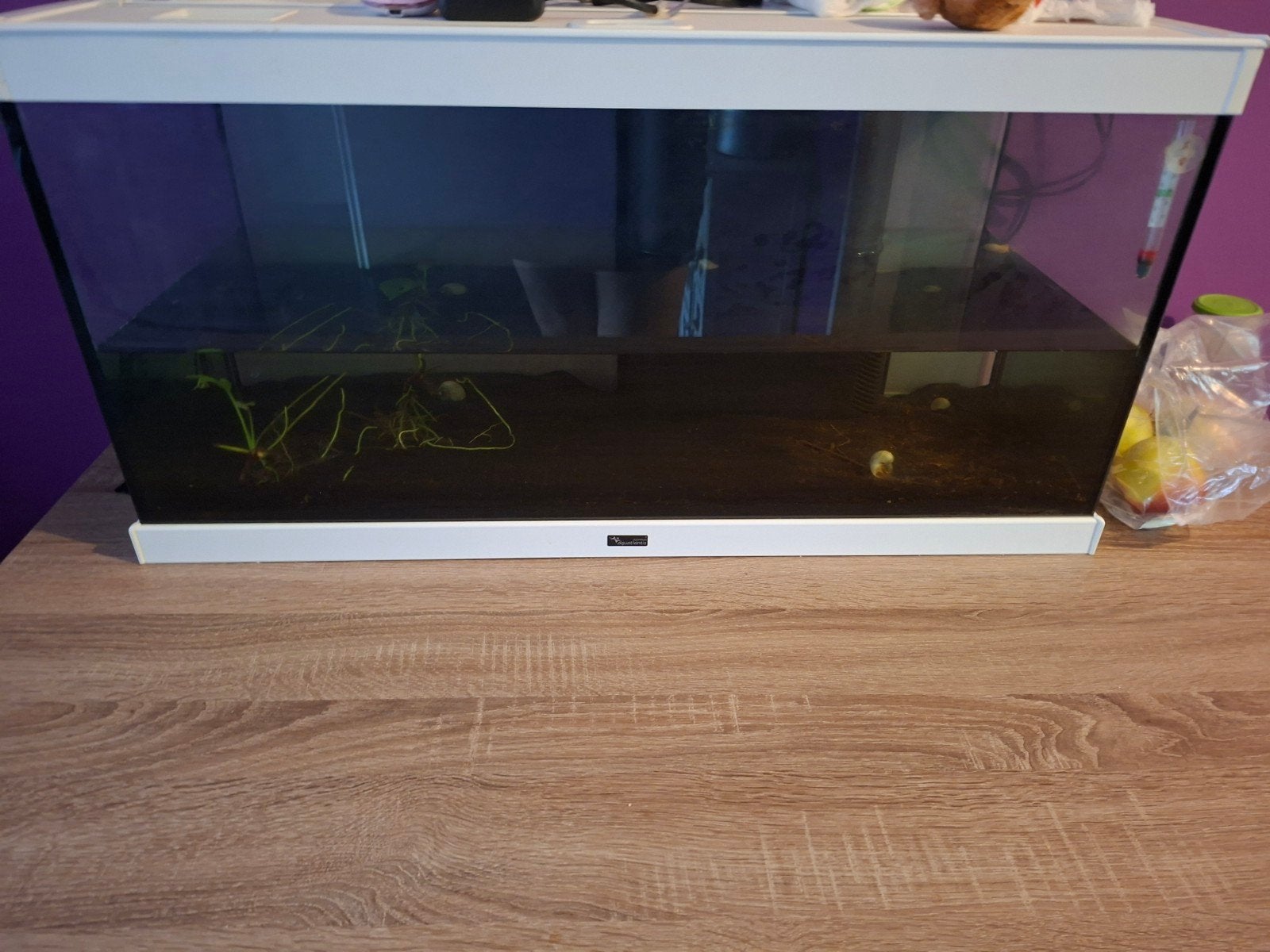 Aquaria aquatlantis, Ophalen of Verzenden, Zo goed als nieuw, Leeg aquarium