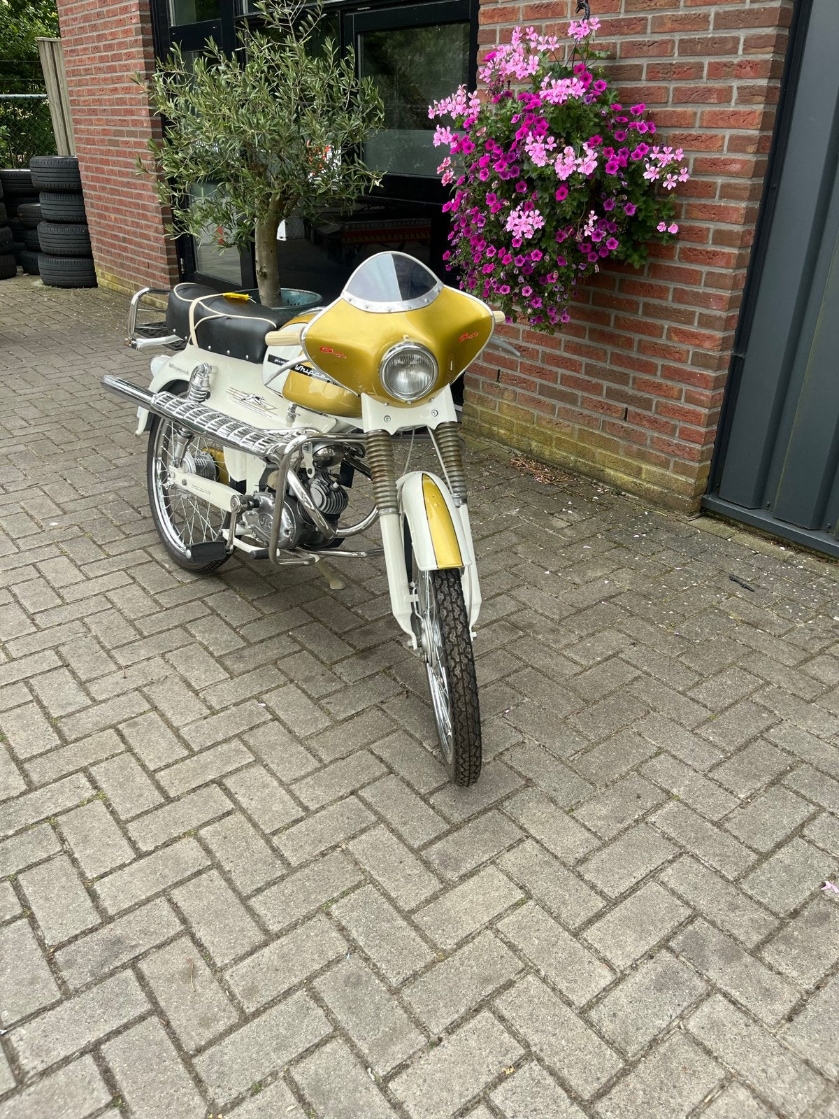 Batavus Whippet 1964 in nieuwstaat, Ophalen, Batavus