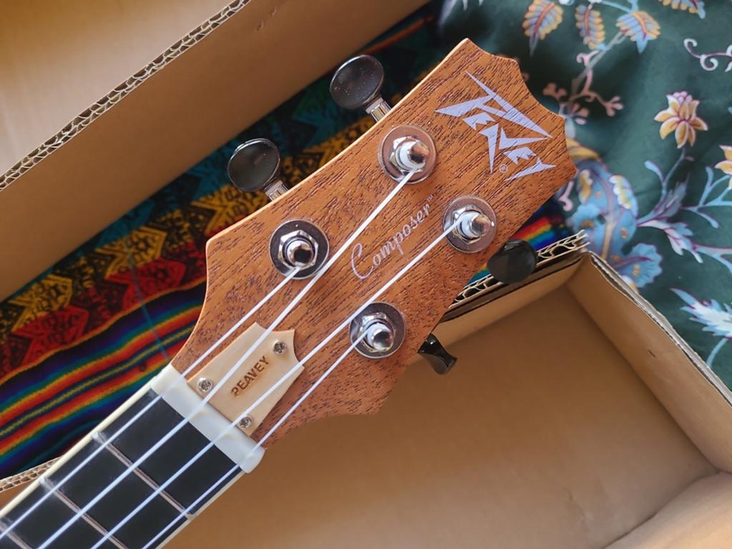 Peavey Student Ukelele - Nieuw in doos, Ophalen of Verzenden, Nieuw, Ukelele
