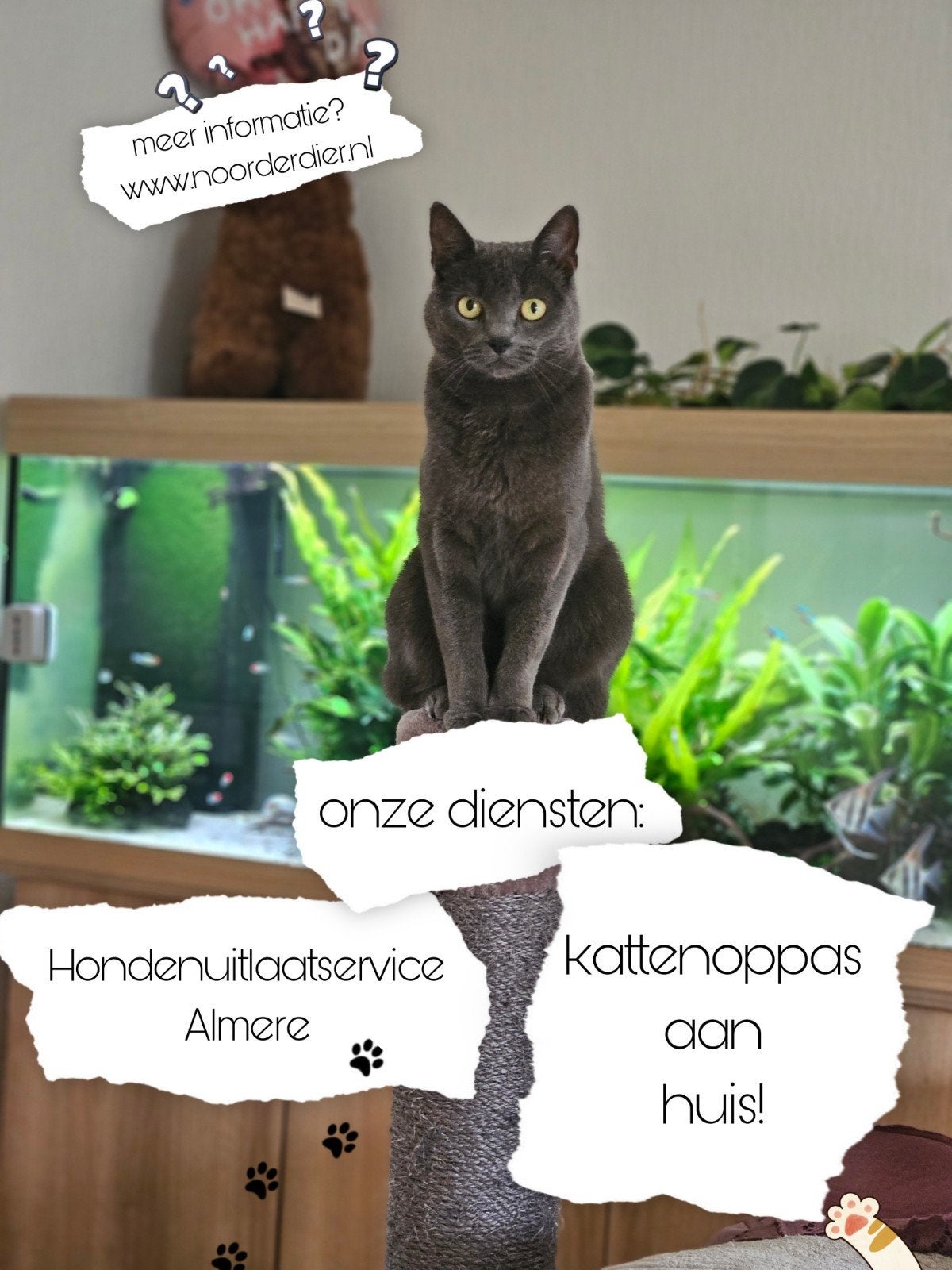Hondenuitlaatdienst & kattenoppas aan huis, Dieren en Toebehoren, Ophalen, Overige soorten