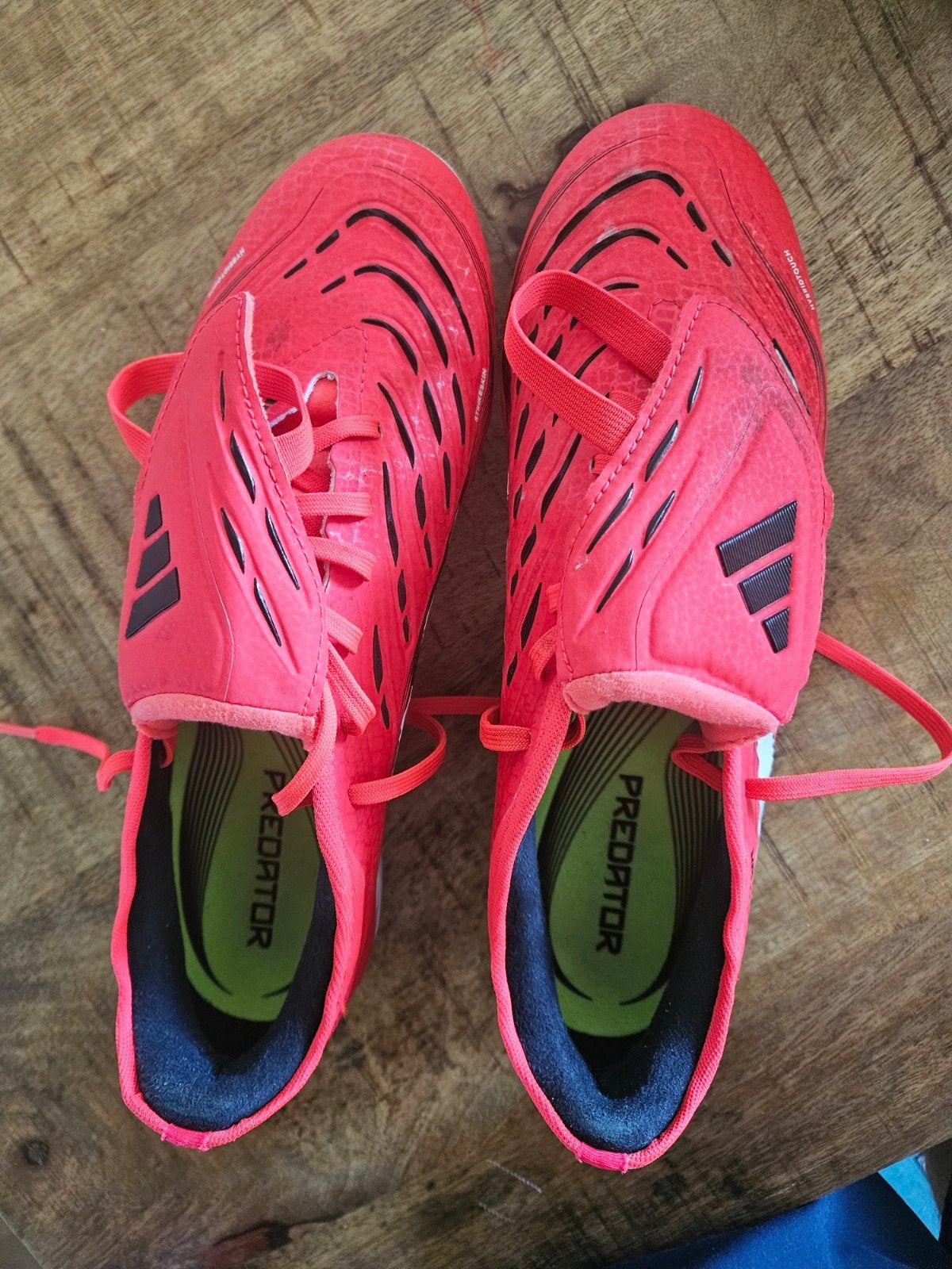 Adidas Predator  - Maat 43 1/3( 42/1/3 in reality), Maat XS of kleiner, Ophalen of Verzenden, Nieuw, Schoenen