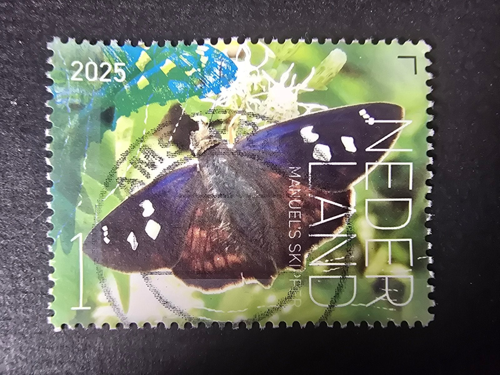 Beleef de Natuur 2025 - NVPH 4271 - Vlinders, Ophalen of Verzenden, Na 1940, Gestempeld