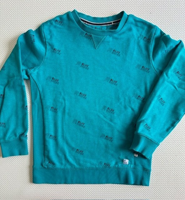 Sweater / trui van Blue Ridge, maat 152 / 158 NIEUW (Y514), Kinderen en Baby's, Kinderkleding | Maat 152, Trui of Vest, Nieuw