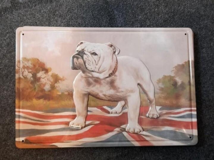 Ijzeren wand plaat, Antiek en Kunst, Ophalen of Verzenden