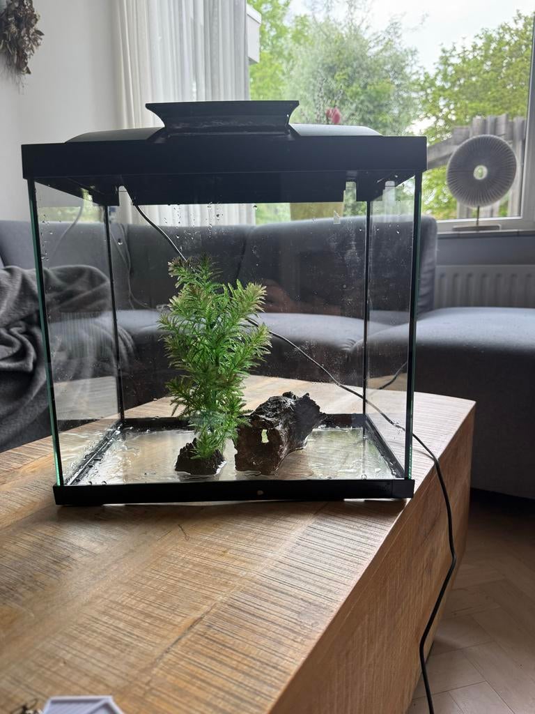 Aquarium, Ophalen, Zo goed als nieuw, Leeg aquarium