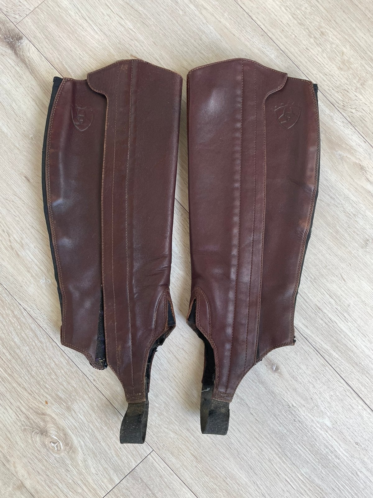 Te koop: lederen Ariat chaps, Ritssluiting, Gebruikt, Overige typen, Ophalen of Verzenden