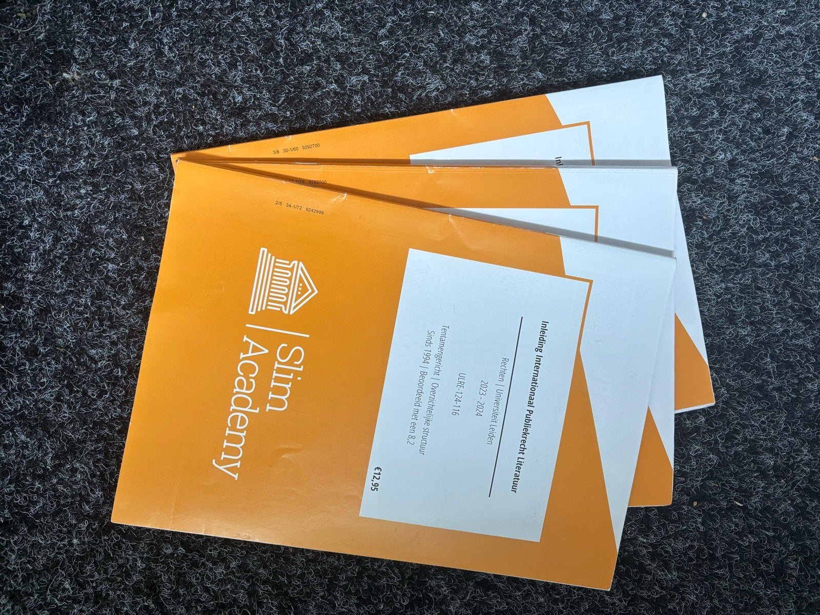 Slim Academy Samenvattingen Eerste Jaar Rechtsgeleerdheid, Ophalen of Verzenden, Gamma, Gelezen, WO