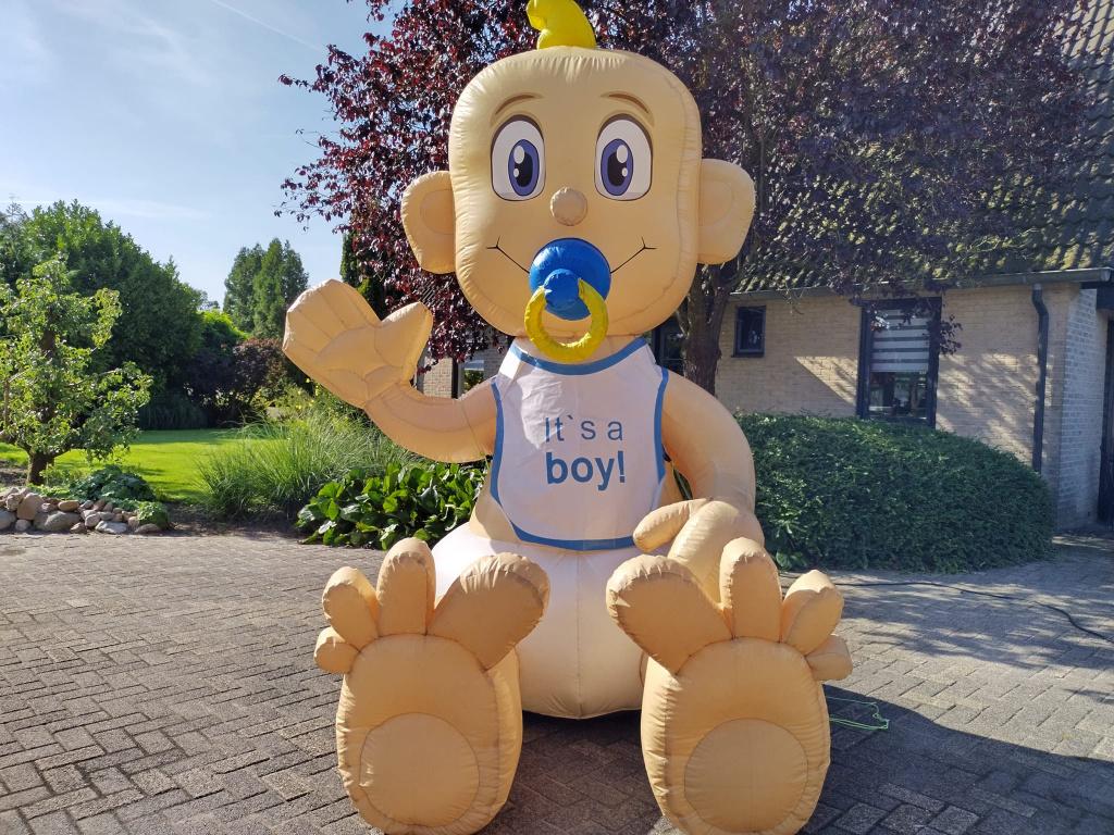 Baby pop te huur ooievaar situatie gewijzigd, Ophalen, Geboorte of Huwelijk