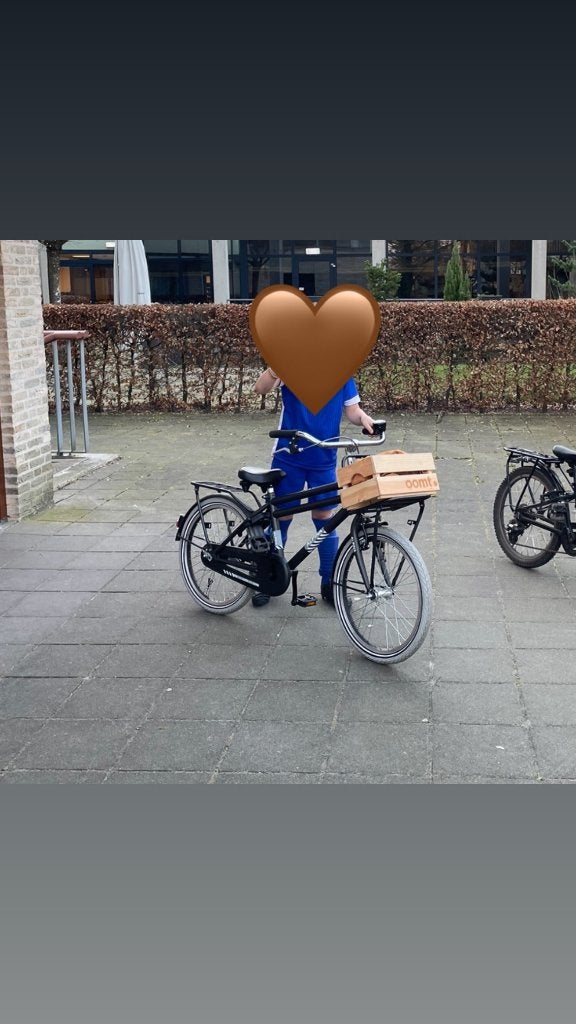 Alpina, Terugtraprem, Zijwieltjes, 16 tot 20 inch, Alpina