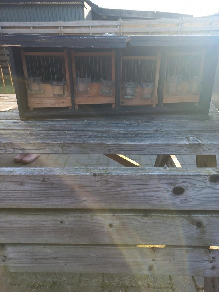 Te koop vervoerskist met zangkooien 67 cm x 29 cm x 26 cm, Dieren en Toebehoren, Ophalen, Gebruikt, Hout, Vogelkooi