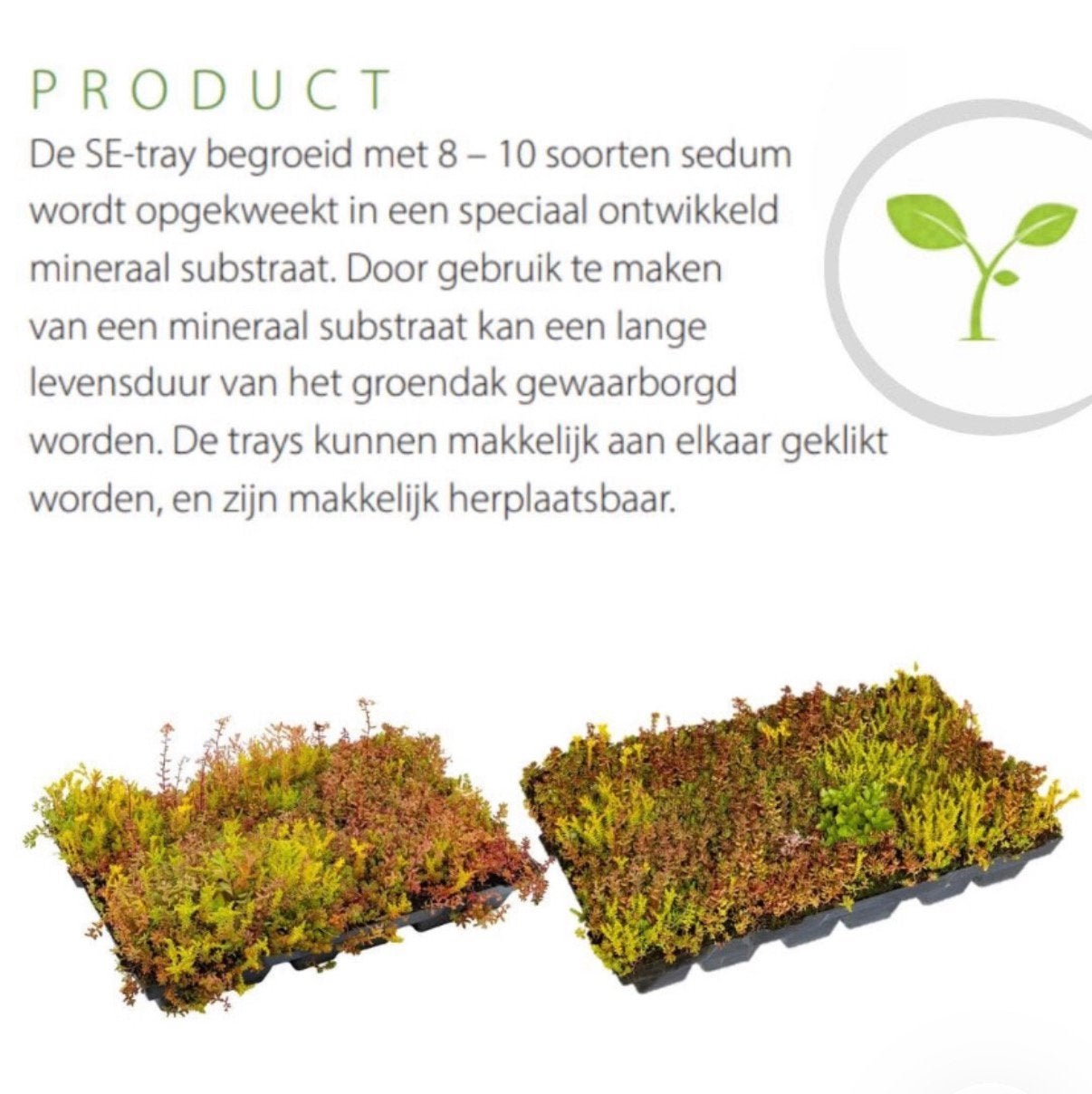 Groendak sedum voor kleine of grote projecten kijk alle foto, Ophalen of Verzenden, Volle zon