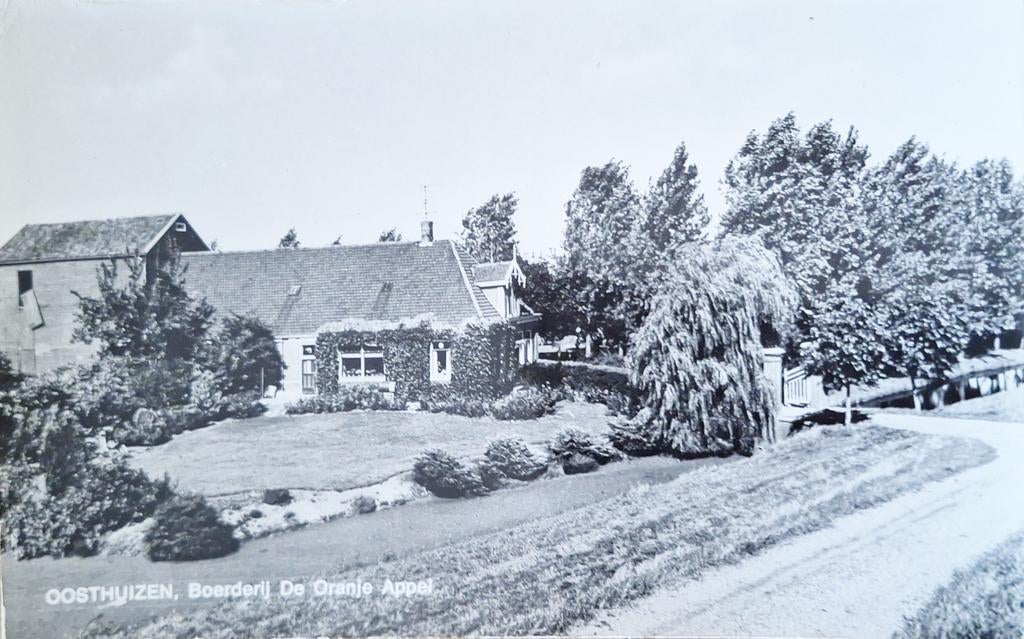 Fotokaart Oosthuizen - Boerderij De Oranje Appel - 1970, Ophalen of Verzenden, 1960 tot 1980, Ongelopen, Noord-Holland