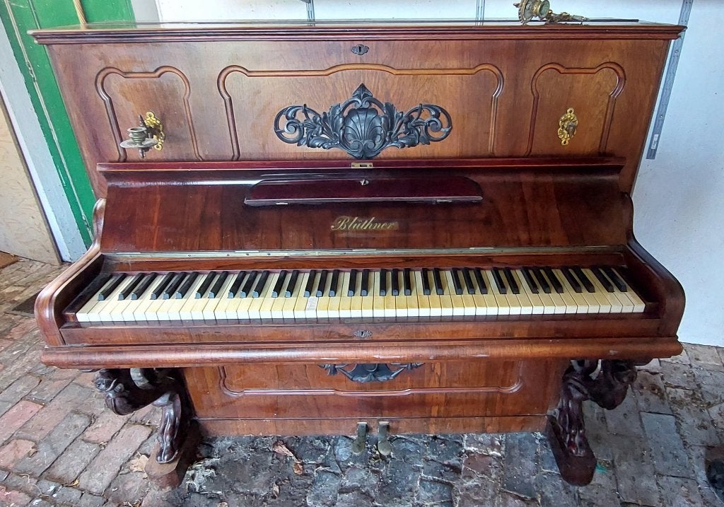 Piano, Blüthner